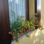 Casa Dolce Casa Отель типа 