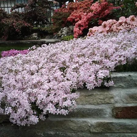 Bed & Breakfast Casa Dolce Casa