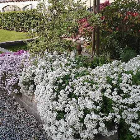 Casa Dolce Casa Bed & Breakfast Candelo