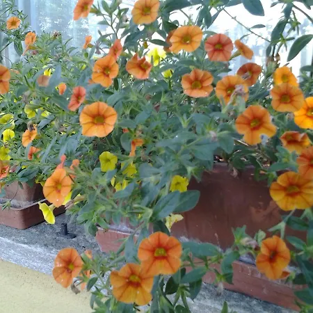 Casa Dolce Casa 3* Candelo