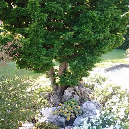 Bed & Breakfast Casa Dolce Casa 3*